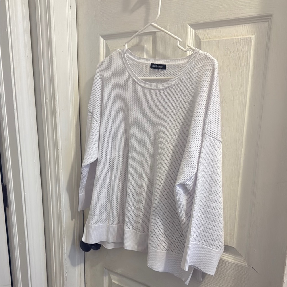 Zara White Mesh Sweater